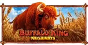 ภาพเกม Buffalo King Megaways ที่ toyslot88 รวบรวมไว้